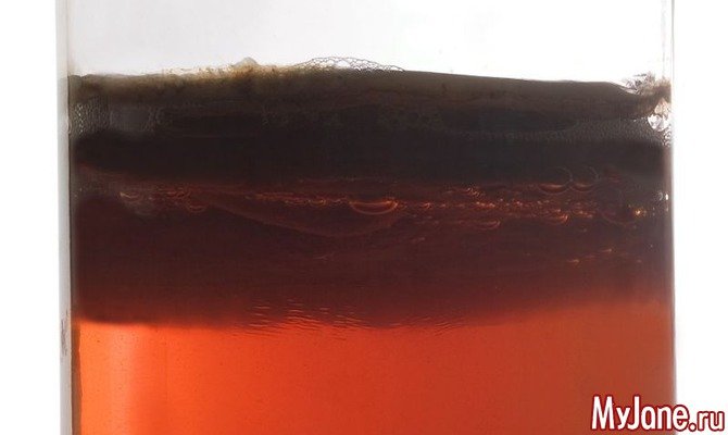 Чайный гриб - чудо-медуза для здоровья, красоты и удовольствия
