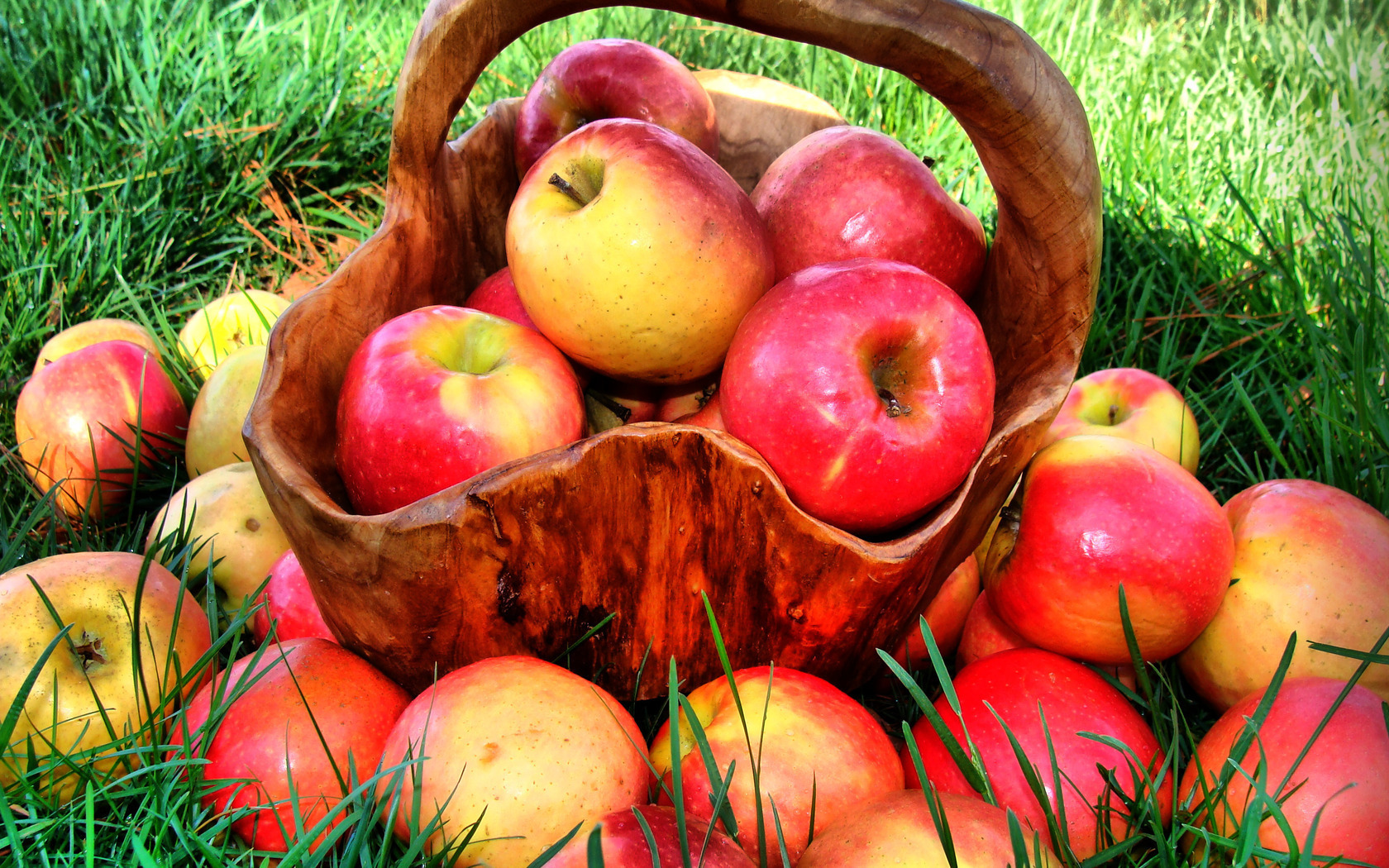 Яблоки и их польза для организма