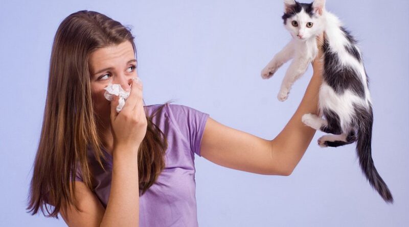 Аллергия на кошек симптомы